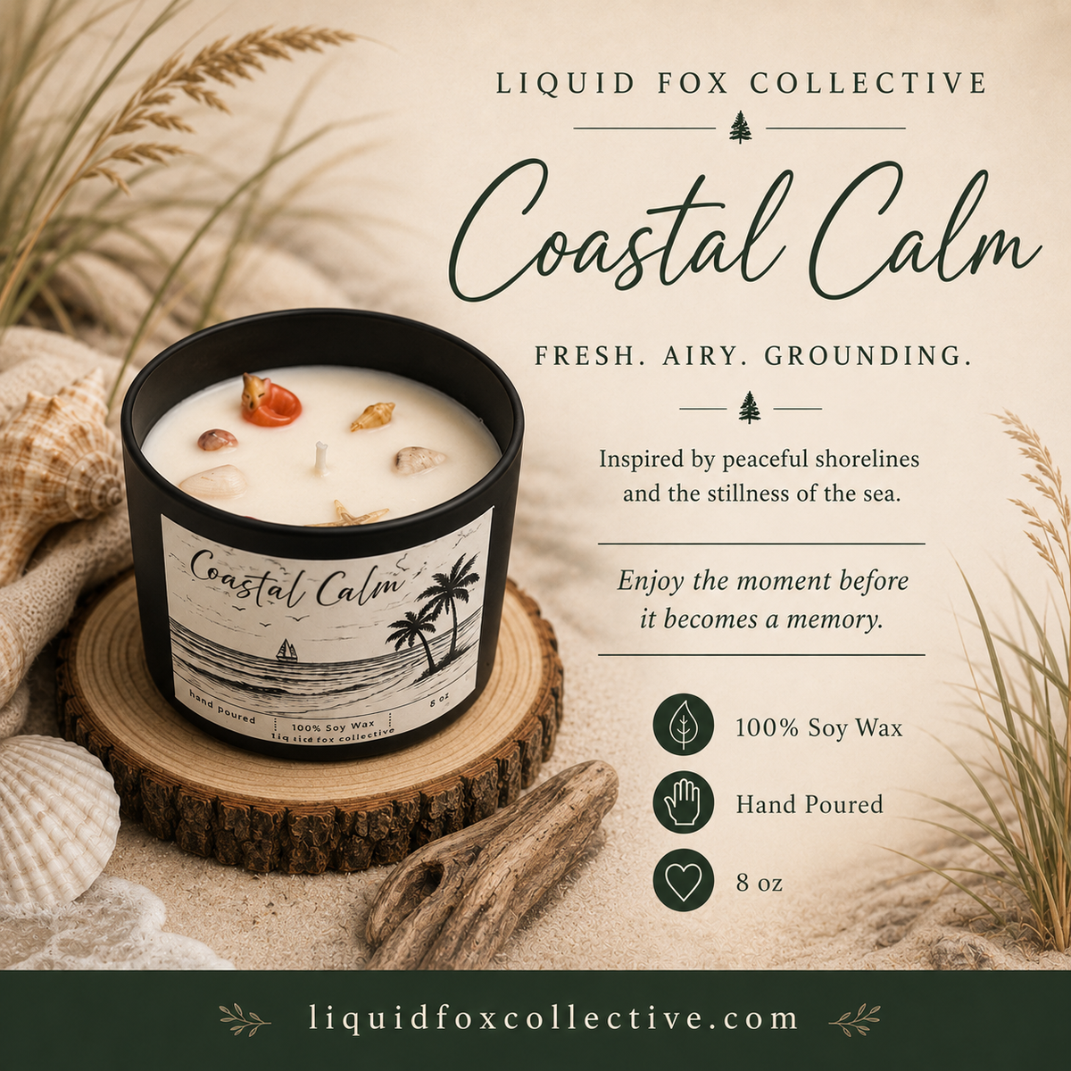 Coastal Calm